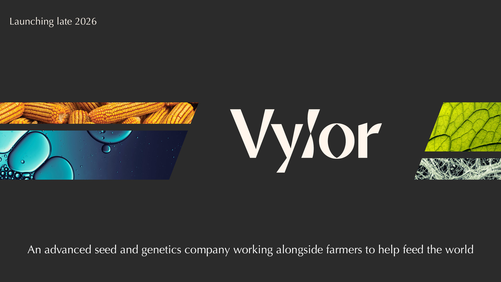Vylor — launching late 2026